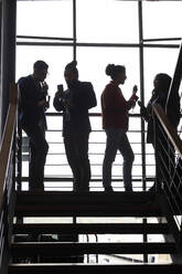 Multirassische männliche und weibliche Kollegen diskutieren miteinander auf einer Treppe bei einer Firmenveranstaltung - MASF34855