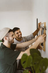 Happy gay couple helping each other while hanging frame on wall at home - MASF35423