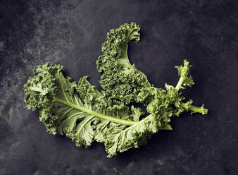 Studio shot of fresh kale (Brassica oleracea) lying against black background - KSWF02281