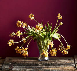 Vase mit verwelkten Tulpen auf Holzbrett vor kastanienbraunem Hintergrund - KSWF02285