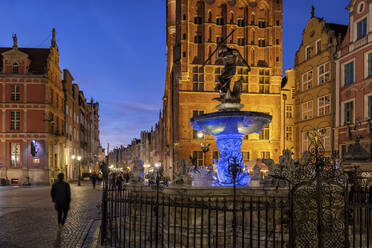 Neptunbrunnen auf dem Long Market bei Nacht - ABOF00878