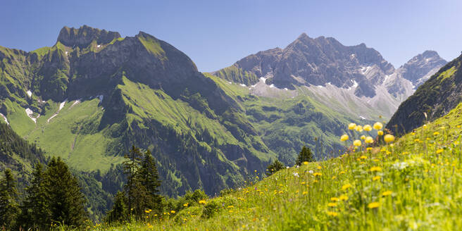 Deutschland, Bayern, Landschaftlich reizvolle Wiese in den Allgäuer Alpen - WGF01449