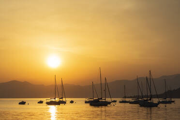 Italy, Veneto, Bardolino, Silhouettes of sailboats floating in Lake Garda at sunset - FOF13434