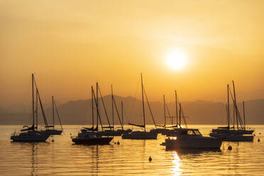 Italy, Veneto, Bardolino, Silhouettes of sailboats floating in Lake Garda at sunset - FOF13439