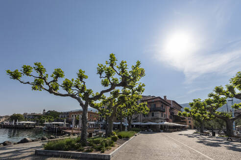 Italien, Venetien, Torri del Benaco, Sommersonne über Bäumen in der Viale Guglielmo Marconi - FOF13445