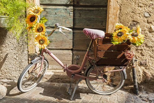 Italien, Venetien, Lazise, Sonnenblumen auf rosa Fahrrad - FOF13449