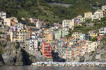 Italien, Ligurien, Riomaggiore, Küstendorf entlang der Cinque Terre - FOF13454