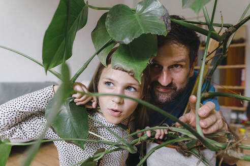 Father and daughter peeking behind plants at home - JOSEF17093
