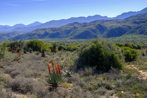 Südafrika, Westliche Kap-Provinz, Landschaft des Huisrivierpas im Sommer - LBF03743