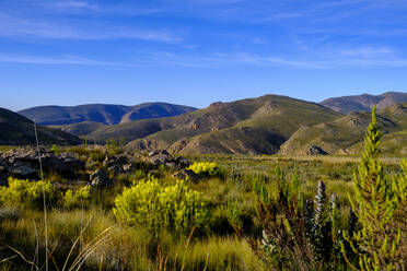 Südafrika, Westliche Kap-Provinz, Blick auf den Swartberg-Pass im Sommer - LBF03748