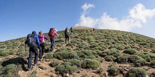 Hiker friends with backpacks moving up on mountain at sunny day - ALRF01987