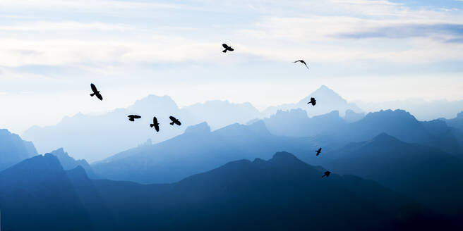 Vögel fliegen über Berge in den Dolomiten, Italien - ALRF02057