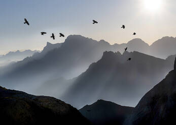 Vögel fliegen über Berge in den Dolomiten, Italien - ALRF02074