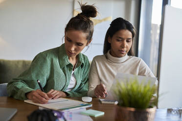 Freelancers working over documents at desk in home office - ABIF01821