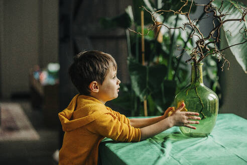 Thoughtful boy touching vase at home - VSNF00454