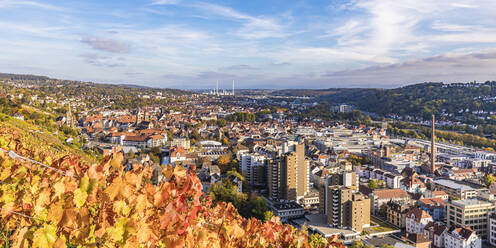 Deutschland, Baden-Württemberg, Esslingen, Panoramablick auf die Stadt im Herbst mit Weinberg im Vordergrund - WDF07255