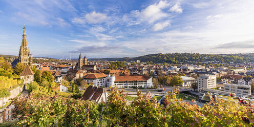 Germany, Baden-Wurttemberg, Esslingen, Panoramic view of town in autumn with vineyard in foreground - WDF07257