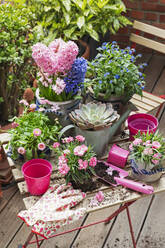 Planting of springtime flowers in balcony garden - GWF07730