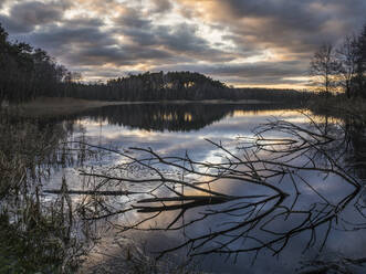 Germany, Bavaria, Lakeshore at cloudy winter dusk - HUSF00342