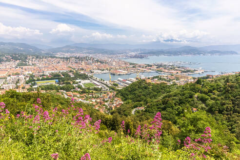 Italien, Ligurien, La Spezia, Blick vom Hügel über die Küstenstadt im Sommer - FOF13470