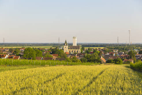 Austria, Lower Austria, Grossengersdorf, Grassy field in summer with rural town in background - AIF00786