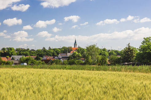 Austria, Lower Austria, Grossengersdorf, Grassy field in summer with rural town in background - AIF00787