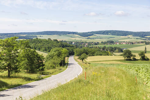 Austria, Lower Austria, Kreuzstetten, View of country road in summer - AIF00790