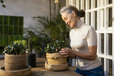 Smiling woman taking care of potted plants - EBSF02898