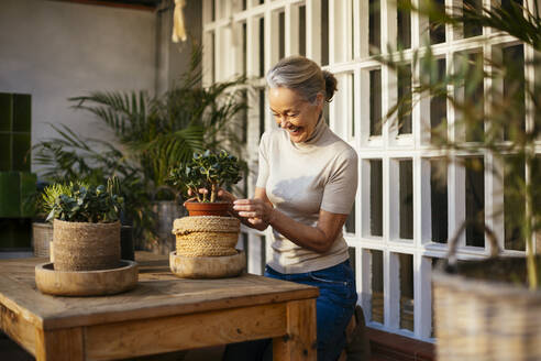 Smiling woman taking care of plants at table - EBSF02901