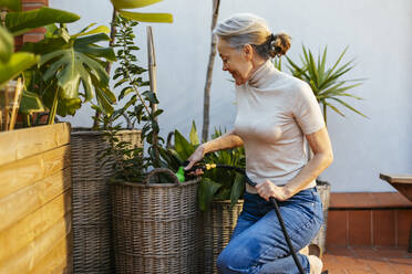 Smiling mature woman with gray hair watering plants - EBSF02904