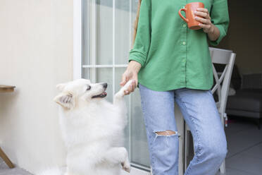 Frau schüttelt Hand mit Hund vor Haus - SVKF01281