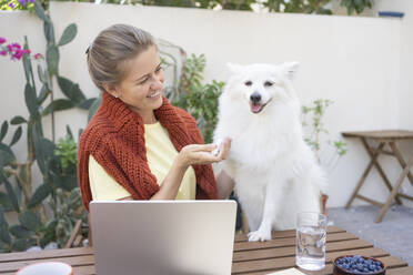 Smiling freelancer shaking hand with dog in garden - SVKF01292