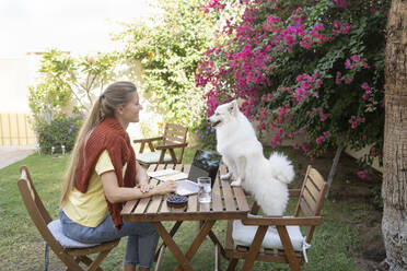 Freelancer and dog sitting on table in garden - SVKF01296