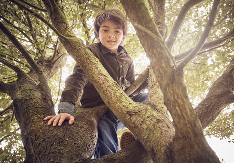 Unbekümmerter Junge klettert auf einen Baum im Park - PWF00804