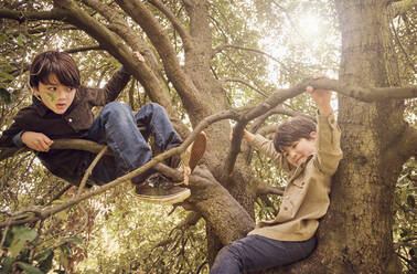 Playful brothers enjoying on tree at park - PWF00805