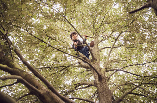 Boy showing hand sign on tree at park - PWF00806