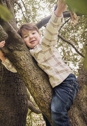 Lächelnder Junge sitzt auf einem Baum im Park - PWF00808