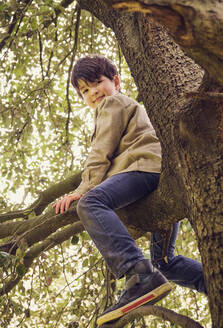 Lächelnder Junge sitzt auf einem Ast im Park - PWF00809