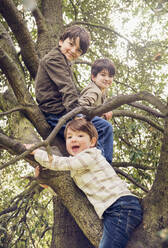 Brothers enjoying with each other on tree branch at park - PWF00810