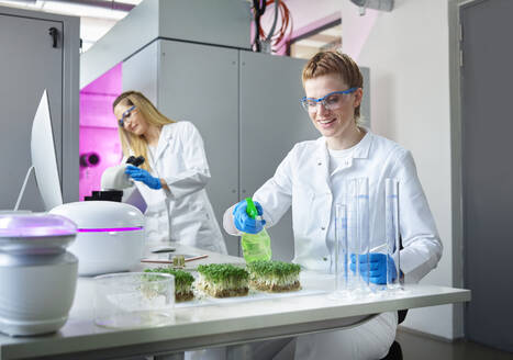 Scientist spraying on plants in laboratory - CVF02322