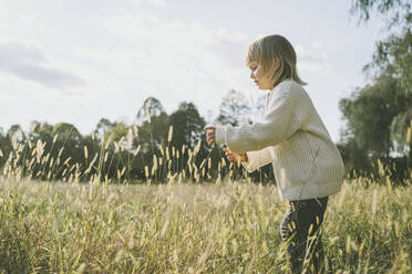Mädchen spielt auf einem Feld an einem sonnigen Tag - NDEF00367