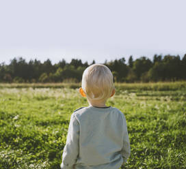 Boy looking at field on sunny day - NDEF00369