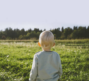 Junge schaut auf ein Feld an einem sonnigen Tag - NDEF00369