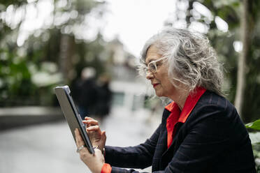 Ältere Geschäftsfrau mit grauem Haar, die einen Tablet-PC benutzt - JCCMF09503