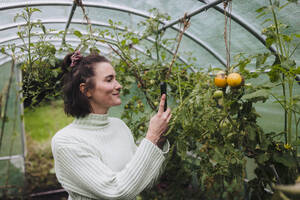 Lächelnde Frau fotografiert gelbe Tomaten im Garten - JOSEF17346