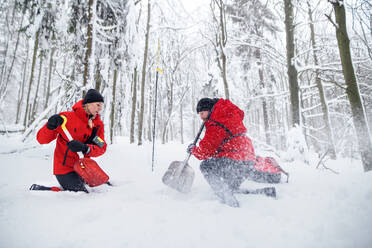 Mountain rescue service on operation outdoors in winter in forest, digging snow with shovels. Avalanche concept. - HPIF06098