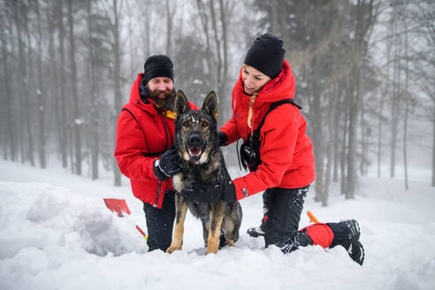 Bergrettungsdienst mit Hund bei einem Einsatz im Freien im Winter im Wald, Schnee schaufeln mit Schaufeln. - HPIF06116