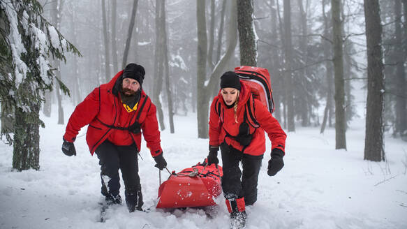 Sanitäter des Bergrettungsdienstes führen im Winter im Wald einen Einsatz durch, bei dem sie eine verletzte Person auf einer Bahre ziehen. - HPIF06131