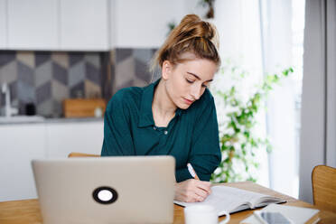 Eine junge Studentin mit Laptop, die zu Hause Notizen schreibt, Home Office und Lernen. - HPIF06139