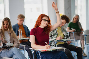 Ein Porträt einer Gruppe von Studenten, die in einem Klassenzimmer sitzen und lernen - HPIF06164